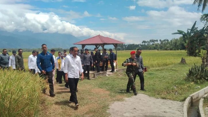 Tinjau panen padi di Kabupaten Sigi, Provinsi Sulawesi Tengah (Sulteng), Presiden Joko Widodo atau Jokowi katakan, hasilnya sangat bagus.