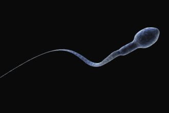 apakah mengeluarkan sperma membatalkan puasa?