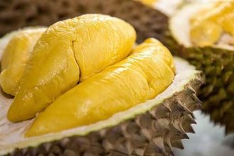Tips Memilih Durian yang Manis