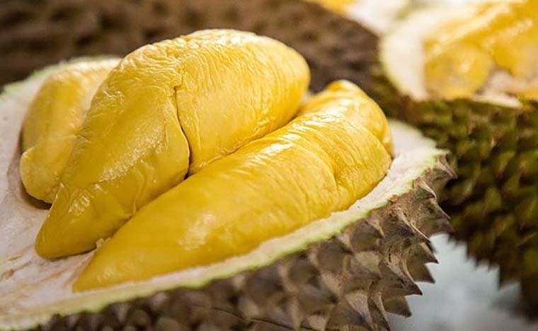 Tips Memilih Durian yang Manis