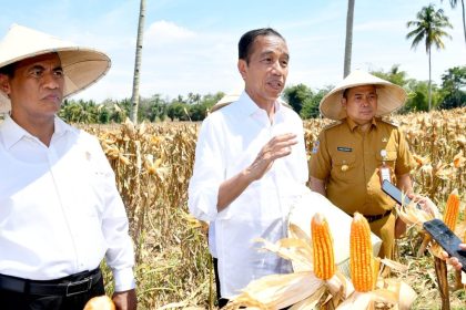Presiden Jokowi menyatakan bahwa angka impor jagung nasional telah mengalami penurunan yang signifikan. (Foto: Sekretariat Kabinet)