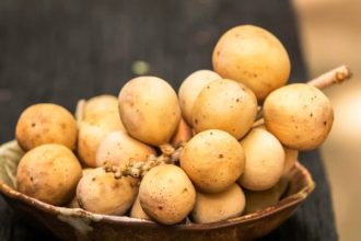 7 Manfaat Buah Duku, Lancarkan Pencernaan dan Redakan Sembelit