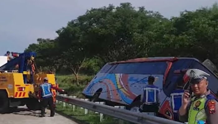 Kronologi Kecelakaan Bus Rosalia Indah di Tol Batang Semarang, Masuk ke Parit