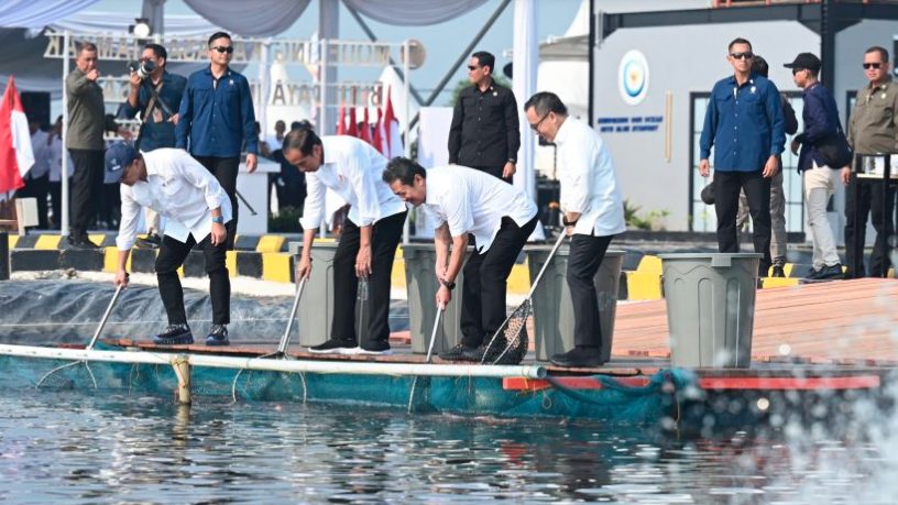 Presiden Joko Widodo (Jokowi) secara resmi meresmikan Model Kawasan Budidaya Ikan Nila Salin di Balai Layanan Usaha Produksi Perikanan Budidaya, Kabupaten Karawang, Jawa Barat, pada Rabu, 8 Mei 2024, pagi.