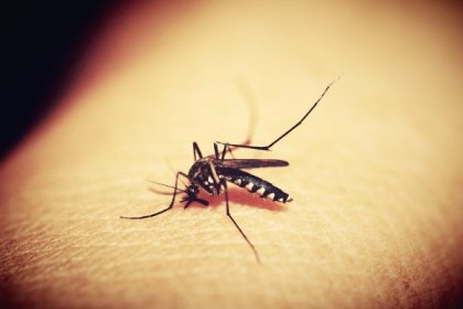 Cegah DBD, Ini 7 Cara Menghindari Gigitan Nyamuk di Tubuh