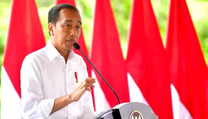 Fakta-fakta Jokowi Optimis Berkantor di IKN Juli 2024