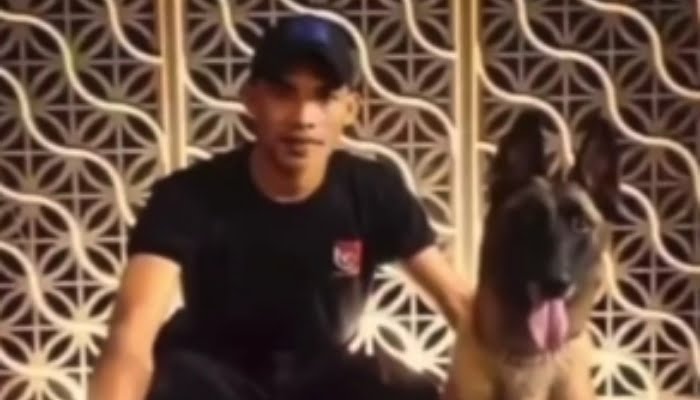 Kronologi Sekuriti Nekat Memukuli Anjing Penjaga di Mall Jakarta, Niat Selamatkan Kucing