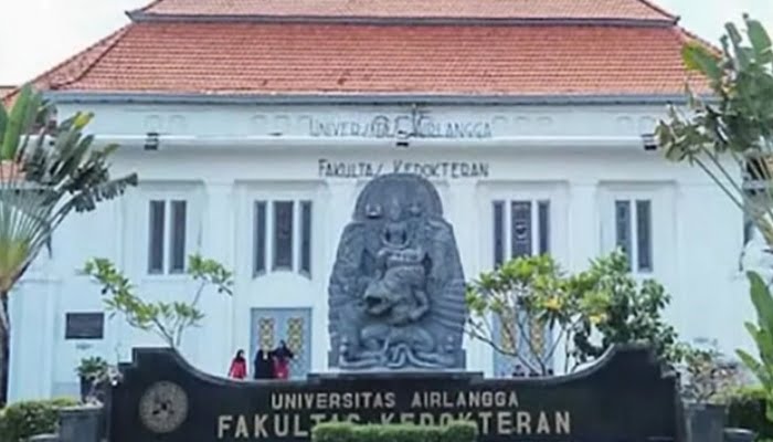 Dekan FK Dipecat usai Penolakan Dokter Asing, Ini Kata Unair hingga Kemenkes