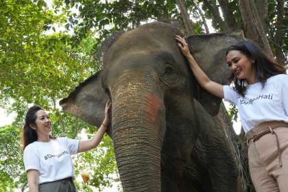 Direktur Utama PermataBank,Meliza M. Rusli (kiri) dan Public Figure & Brand Ambassador PermataBank,Atiqah Hasiholan berfoto bersama gajah Sumatra sebagai rangkaian dari program #DenganHati untuk Bukit Tigapuluh.(INVERSI/Dok PermataBank)