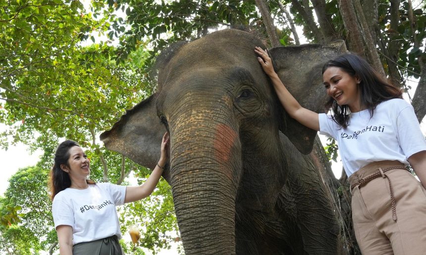 Direktur Utama PermataBank,Meliza M. Rusli (kiri) dan Public Figure & Brand Ambassador PermataBank,Atiqah Hasiholan berfoto bersama gajah Sumatra sebagai rangkaian dari program #DenganHati untuk Bukit Tigapuluh.(INVERSI/Dok PermataBank)