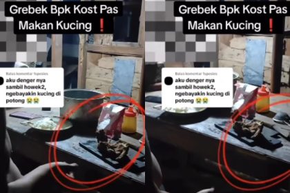 Bapak Kos Diduga Makan Kucing untuk Obat Diabetes