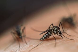 Wabah Demam Berdarah Dengue (DBD) dan malaria