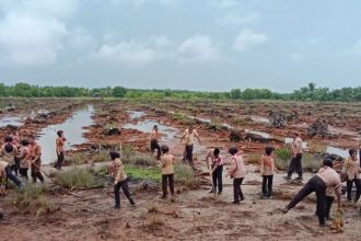 Pelajar yang tergabung dalam Kwarcab Pramuka Aceh Tamiang menanam 1.000 mangrove dalam rangka memperingati Hari Pramuka ke 63 di pesisir Desa Lubuk Damar, Aceh Tamiang, Kamis (15/8/2024). (FOTO: Pramuka Aceh Tamiang)