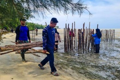 TNI AU di Natuna tanam mangrove untuk antisipasi gelombang tinggi di musim angin utara. (FOTO: Lanud RSA Natuna).