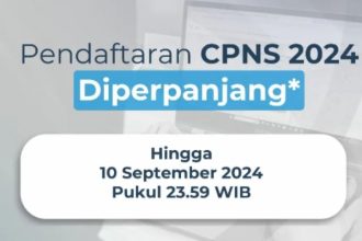 CPNS 2024