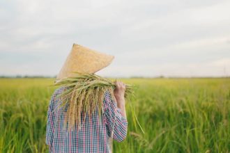 Pasca kemerdekaan, pemerintah Indonesia berusaha mengatasi ketimpangan agraria melalui reformasi. UUPA 1960 diperkenalkan sebagai solusi untuk mendistribusikan lahan secara lebih adil, meningkatkan kesejahteraan petani, dan menghapus praktik feodal yang merugikan petani kecil.