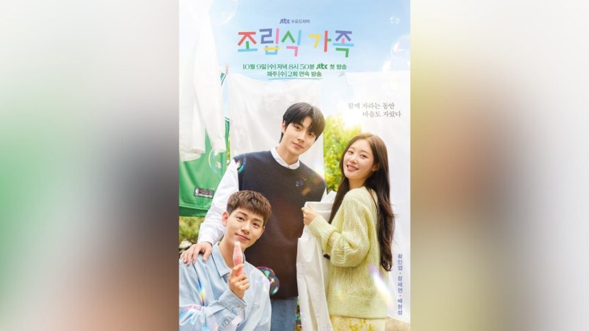 Poster Drama Korea Family By Choice