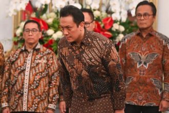 Di dunia profesional, Diaz mengawali kariernya di PT KIA Otomotif Indonesia pada 1999-2000. Ia juga sempat menjadi direktur di PT Ulam Sari Samudra, perusahaan distribusi makanan laut, meskipun perusahaan tersebut kemudian dibekukan. Kiprah politiknya mulai mencuat saat Diaz aktif mendukung kampanye Joko Widodo pada Pemilu Presiden 2014, yang kemudian membawanya ke posisi sebagai Staf Khusus Presiden Jokowi.